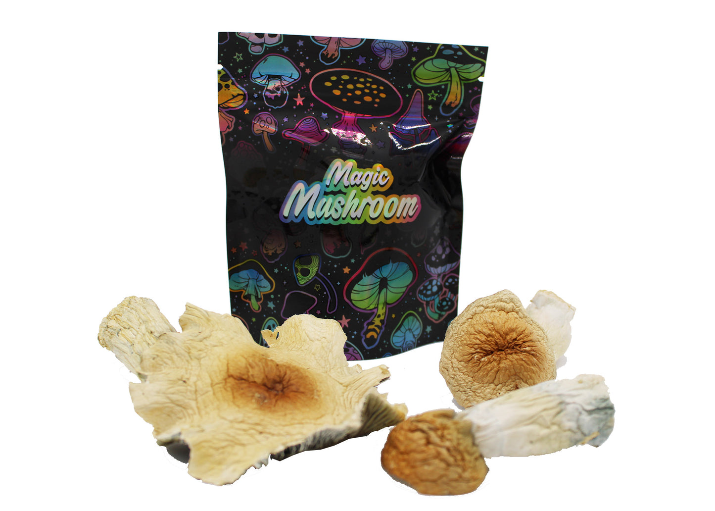 Dried Mushroom Displays